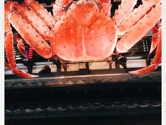 -蟹料理 北海道かに将軍(札幌本店)