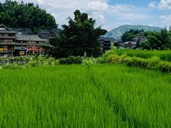-程阳八寨景区