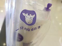 -一只酸奶牛(来福士店)