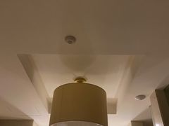 -宜春明月山维景国际温泉度假酒店