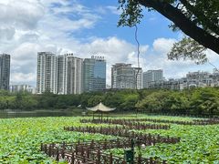 -南宁南湖公园