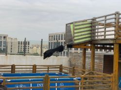 -小蜜蜂农场(凯德七宝购物广场店)