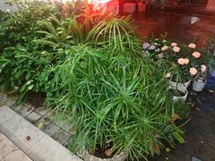 -默迹咖啡馆