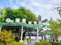 -大湾区中央湿地公园