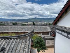-蘑统田下·野生菌火锅