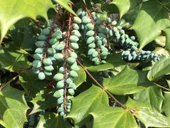 -镇江市南山风景名胜区竹林景区