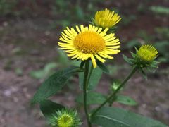 -北京小汤山医院体检中心