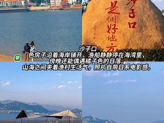 -单家老院·院子里的青岛菜(沙子口店)