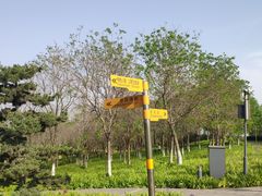 -北龙湖湿地公园