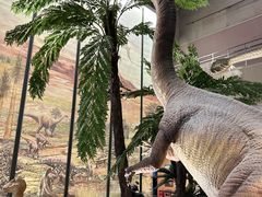 -湖南省地质博物馆