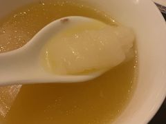 -汤城·料青山