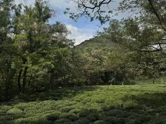 -杭州少年儿童公园