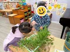 -常德书法幼儿园