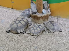 -齐齐哈尔龙沙动植物园