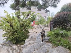 -云龙山