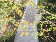 -中国湿地博物馆