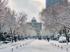 -山东大学(威海校区)