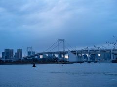 -台场海滨公园船码头