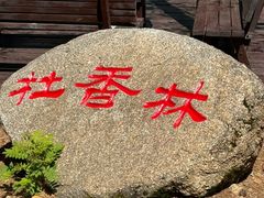 -莫尔道嘎国家森林公园