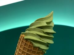 -CHOCHENG&CO.(欢乐海岸店)