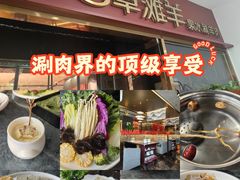 -百草滩羊清水涮羊肉·清真·宁夏盐池滩羊(莲花桥店)