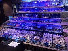 -青蓬蒸汽海鲜·深圳老字号·团建聚会(壹方城店)