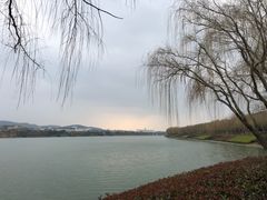 -羊山湖公园