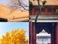 -故宫博物院(故宫)