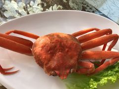 -老虎滩船说·海胆水饺·大连海鲜(老虎滩店)