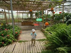 景点-观光南瓜园