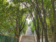 -函谷关历史文化旅游区