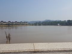 -美的鹭湖森林度假区