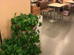 大堂-李先生牛肉面大王(东营友谊广场店)