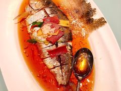 酒香鲥鱼-御龙宴