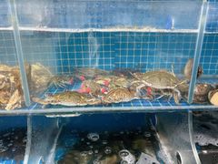 -宾朋海鲜饭庄(兴海路店)