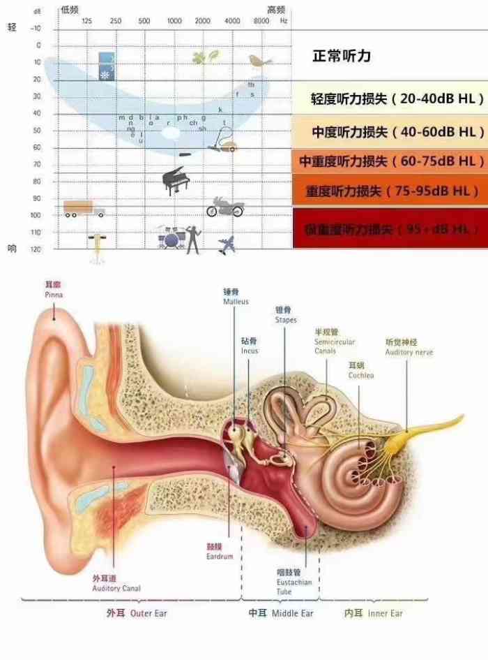 瑞声达助听器(行唐工商银行店)-"来过店里两次,第一次来给家人咨询了