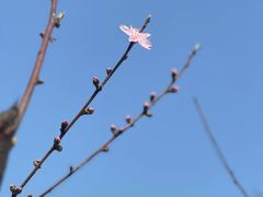 -白塘生态植物园