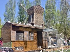 -长白岛森林公园