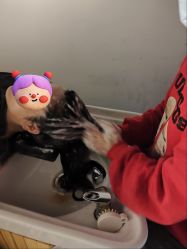 -头等闲·泰洗头颈肩概念体验店