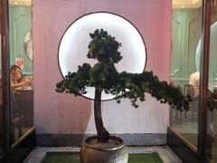 -杜家小馆(裕华路店)