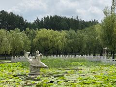 -莱西月湖公园