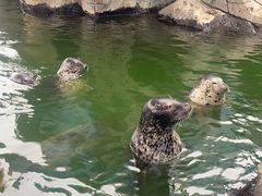 -华夏文旅海洋公园