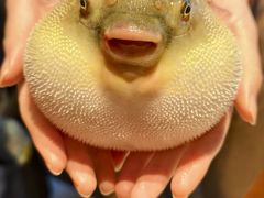 -永安鱼庄·镇江菜(东吴路店)