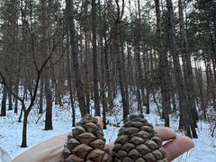 -帽儿山国家森林公园