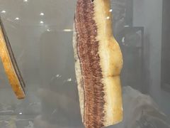 -游龙石文化科普馆
