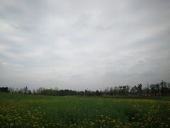 -白鹭湾湿地公园