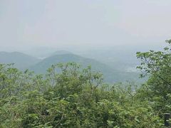 -杭州半山国家森林公园