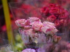 -循礼门鲜花花市(武汉循礼门店)