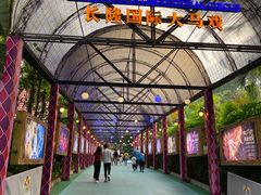 -广州长隆国际大马戏