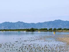 -野鸭湖国家湿地公园